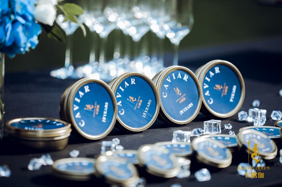 photo - 2025-06-12T114755